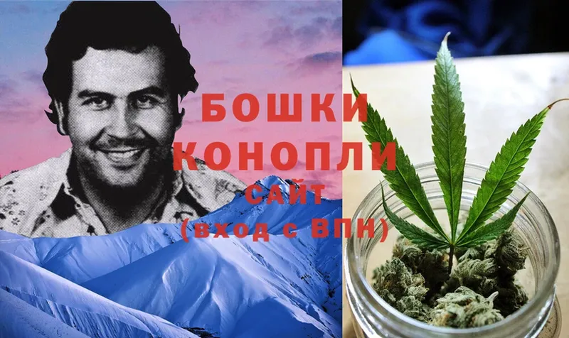 Канабис OG Kush  Майский 